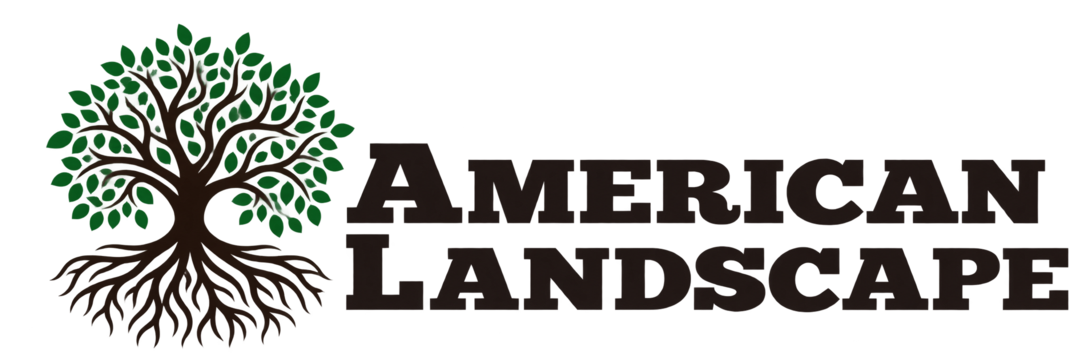 American Landscape
