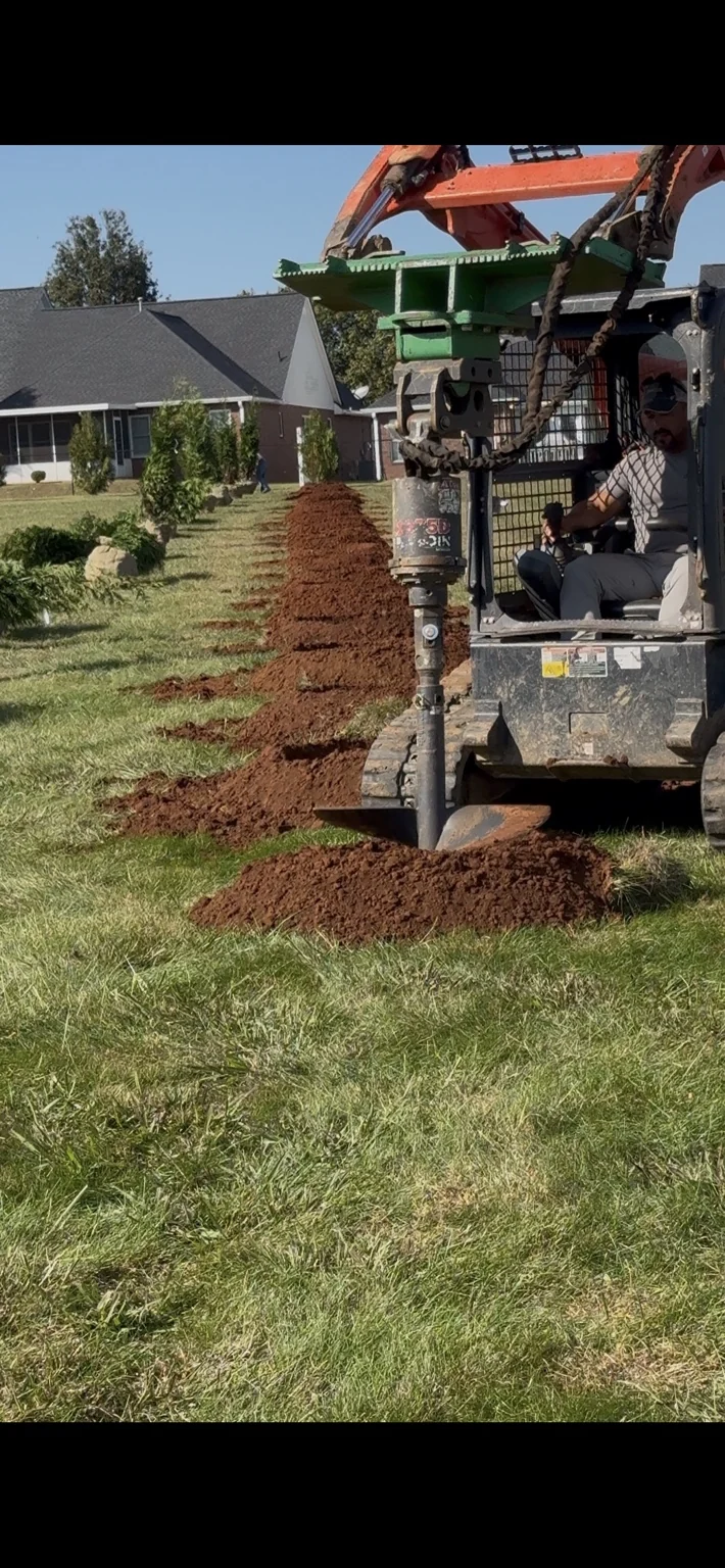 Groundwork equipment and fresh soil beside a row of evergreens