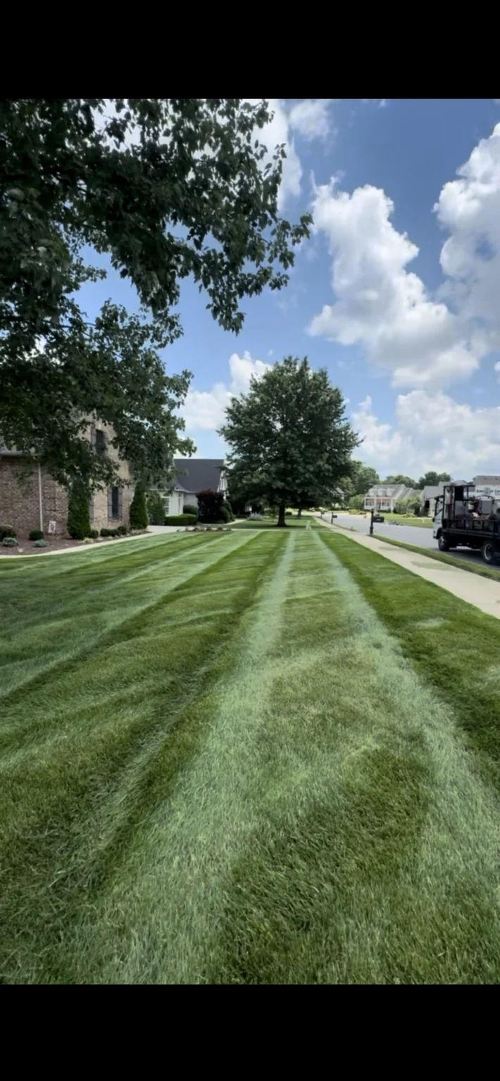 Fresh mowing stripes along a home and sidewalk