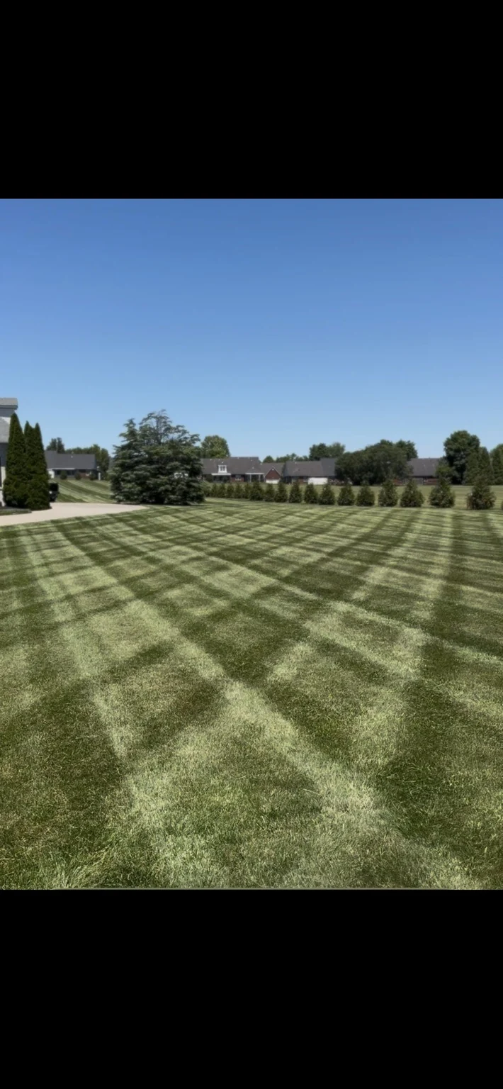 Checkerboard mowing pattern across an open lawn