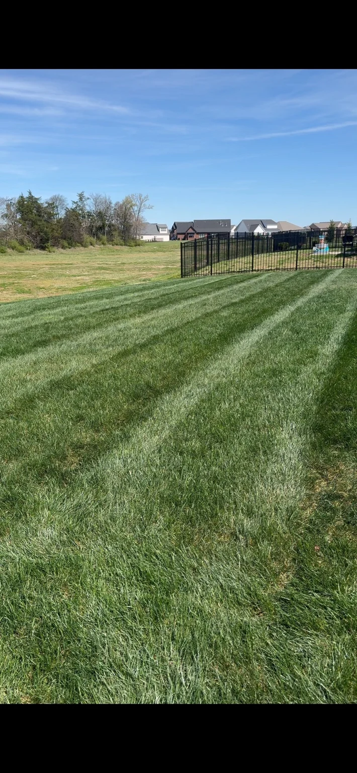 Long mowing stripes across an open lawn