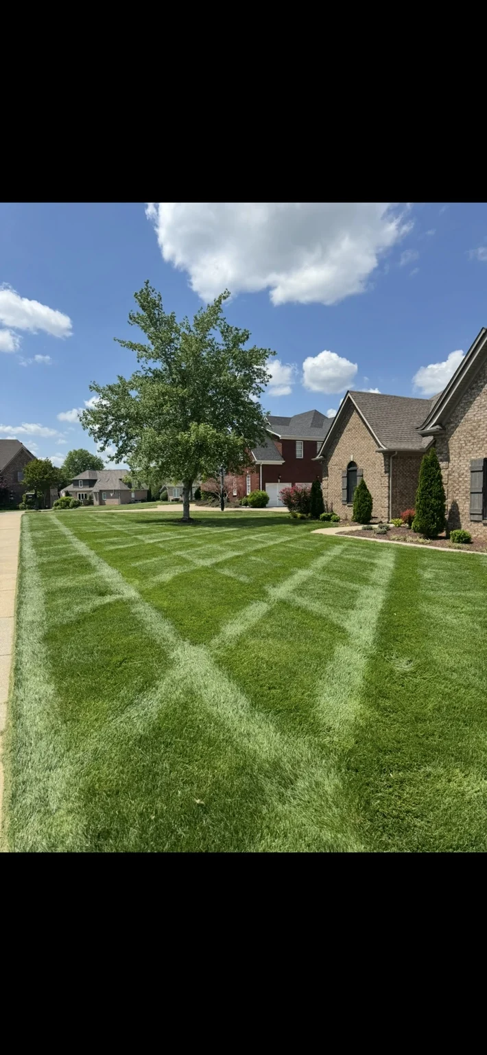 Diagonal mowing stripes on a lawn beside a house