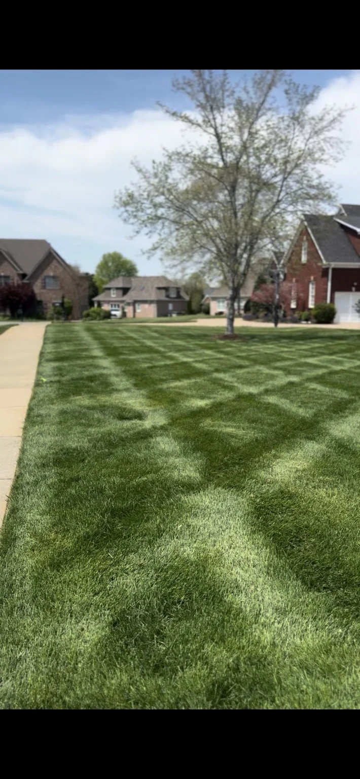 Mowing stripes across a lawn beside a driveway