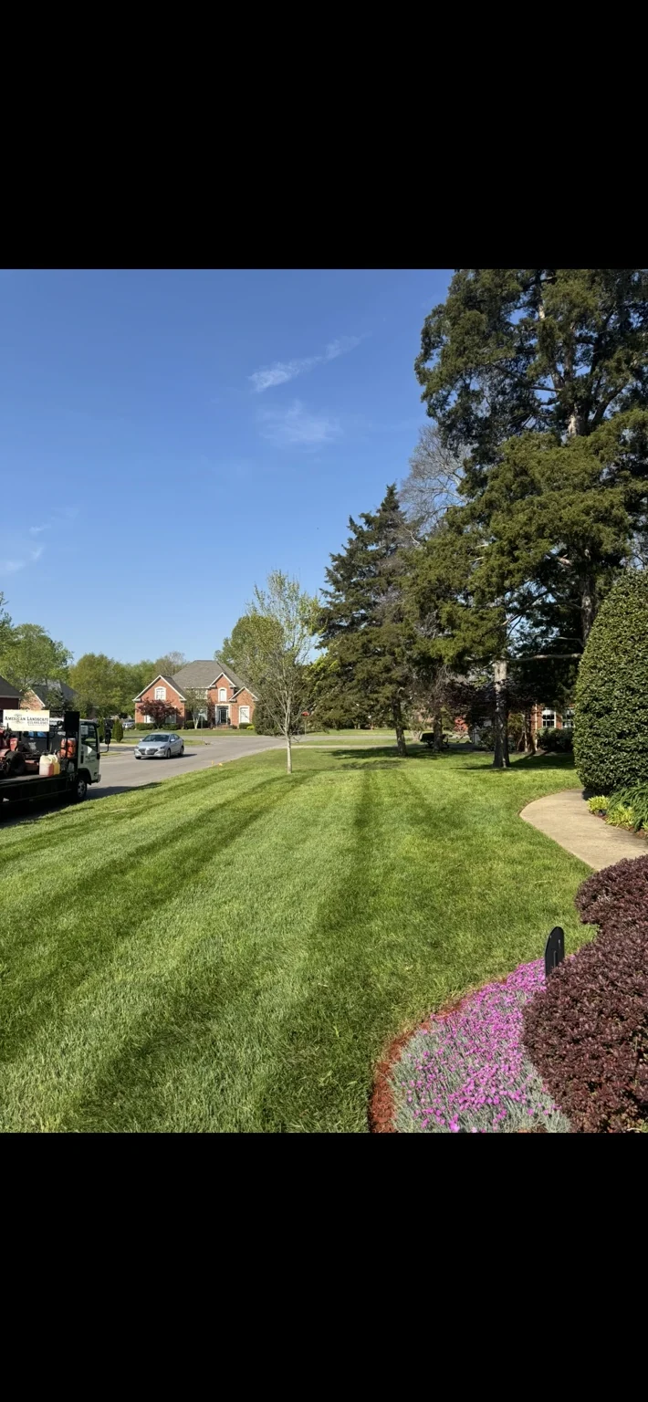 Freshly mowed lawn beside a curved planting bed