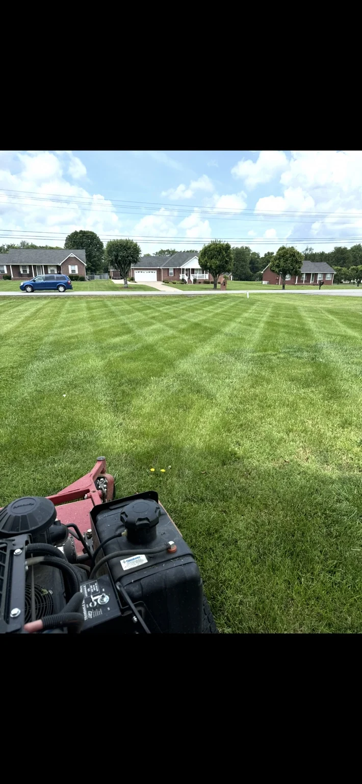 Striped lawn with a mower in the foreground